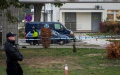 Újabb áldozata van a tragikus gólyabálnak