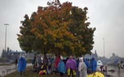 Szántóföldeken, gyümölcsösökön vágnak át a határon a migránsok