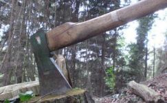 A székely megyékben (is) alig kerül bíróságra a falopás