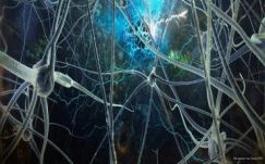 Bíró Béla: Mágnesség és politika