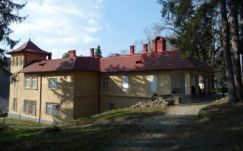 Magánkézbe kerül a csucsai Boncza-kastély, Ady Endre egykori otthona