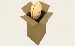 Kustán Magyari Attila: Egyetlen reményünk az agyunk