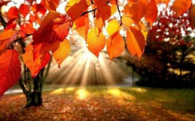 Megdőlt vasárnap a budapesti melegrekord