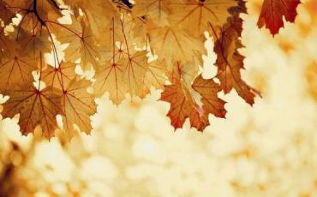 Az idei október volt világszinten a legmelegebb