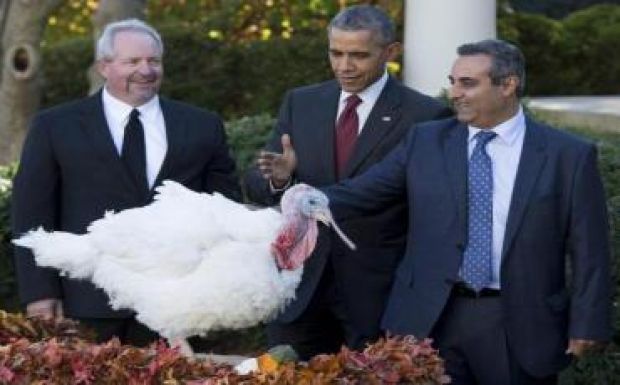 Idén is elnöki kegyelmet kapott két hálaadási pulyka