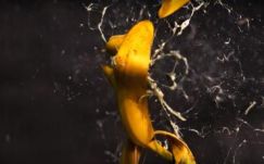 Lassított felvételen láthatók a pisztolygolyótól széthulló tárgyak