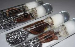 Hangyacsempészek buktak le Kínában