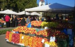 Almavásár zajlik Marosvásárhely főterén