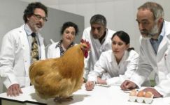 A brit tudósok legőrültebb megállapításaiból válogattunk