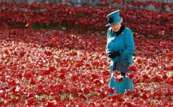 Megemlékeztek Londonban a brit háborús halottakról