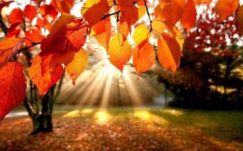 Megdőlt vasárnap a budapesti melegrekord