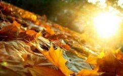 Ilyen lesz az időjárás a hét közepéig