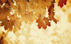 Az idei október volt világszinten a legmelegebb