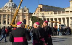 Megérkezett a karácsonyfa a római Szent Péter térre