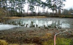 Nagyvárad mentené meg a tündérrózsás tavat