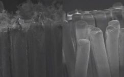 Ezért ne használja hónapokig ugyanazt a fogkefét