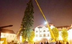Nagybányán állították fel az ország legnagyobb karácsonyfáját