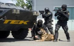 Szabadlábon vannak a Magyarországon elfogott „bombagyárosok”