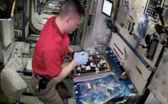 A saláták után most virágokat nevelnek az űrállomáson