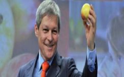 Rostás-Péter István: Házi feladat, pótvizsga, vagy amit akarnánk