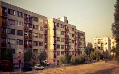 Krebsz János: Rendpártiság