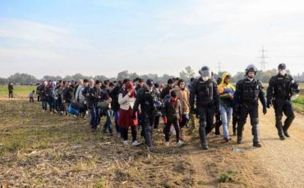 Megkezdődött a kerítés építése az osztrák-szlovén határon