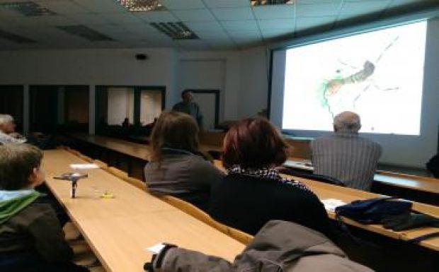 Iskolai tananyagnak is alkalmas a csíki mocsárvilág