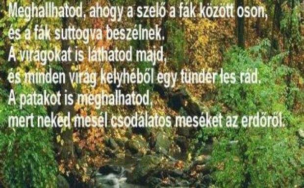 Sebestyén Mihály: Wass-logika 