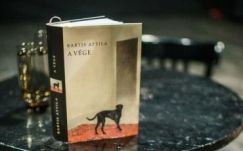 Bartis Attila erdélyizmusokról és budapestizmusokról beszélt szülővárosában