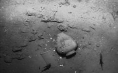 Páratlan hajókincsre bukkantnak a kolumbiai partoknál