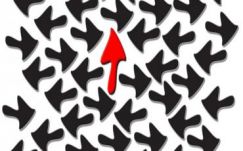 Ambrus Attila: A költség el van vetve