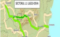 Bogdán Tibor: Lássuk a medvét