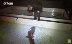 Kínában kétszáz éves tűzgyíkot találtak