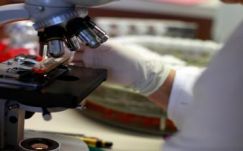 A molekuláris olló az év tudományos áttörése