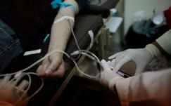 Újra adhatnak vért a homoszexuális férfiak az Egyesült Államokban