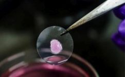 Májszövetet 3D-nyomtattak Indiában