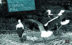 Emlékkiállítás Fóris Pál tiszteletére Sepsiszentgyörgyön