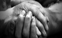 Ambrus Attila: Nyug vagy nyög?