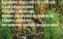 Sebestyén Mihály: Wass-logika 