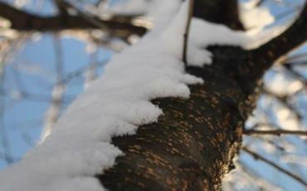 Jelentősen enyhül az idő a hét végéig