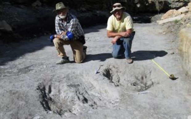 Kiderült, hogyan szerelmeskedtek a dinoszauruszok