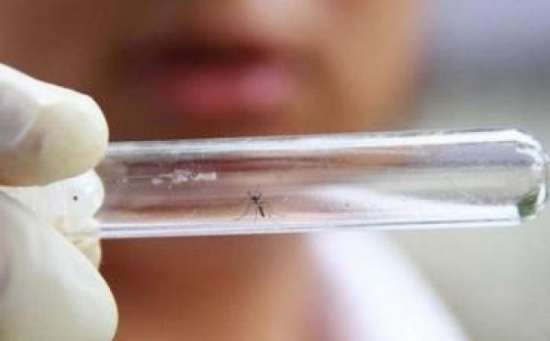 Már a román külügy is figyelmeztet a zikavírus terjedésére