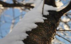 Jelentősen enyhül az idő a hét végéig