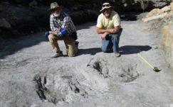 Kiderült, hogyan szerelmeskedtek a dinoszauruszok