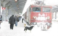 Bírságolta a fogyasztóvédelem a vasúttársaságot 