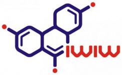 Világpiacra készül az iWiW