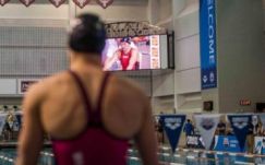 Hosszú nem telefonált, mégis megkapta az engedélyt