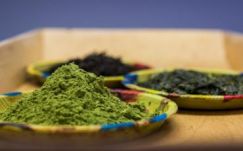 Megtalálták a világ legrégebbi teáját