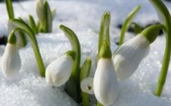 Háromhavi előrejelzés: sok hóval búcsúzik majd a tél Erdélyben