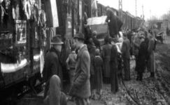 Bíró Béla: Siralmas sikereink